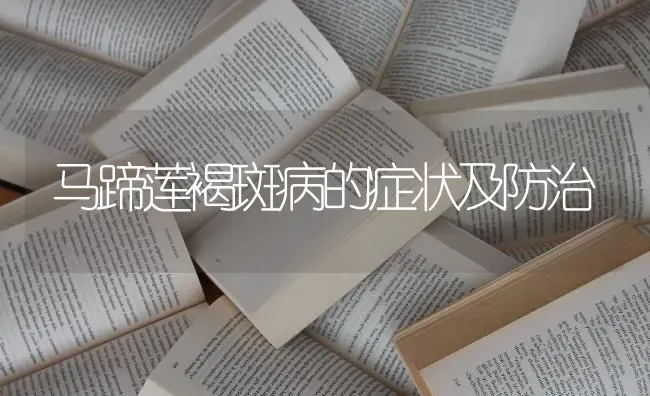 马蹄莲褐斑病的症状及防治 | 养殖知识