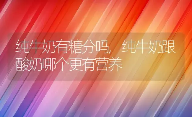 纯牛奶有糖分吗,纯牛奶跟酸奶哪个更有营养 | 养殖资料