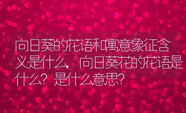 向日葵的花语和寓意象征含义是什么,向日葵花的花语是什么？是什么意思？ | 养殖科普