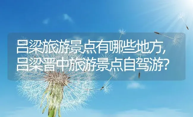 吕梁旅游景点有哪些地方,吕梁晋中旅游景点自驾游？ | 养殖科普