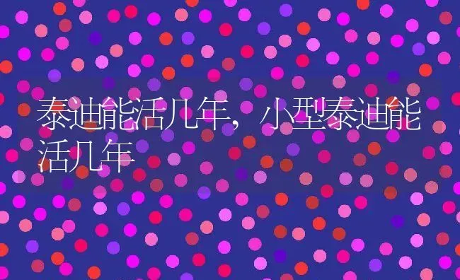 泰迪能活几年,小型泰迪能活几年 | 养殖科普