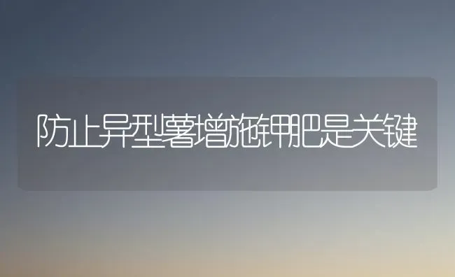 防止异型薯增施钾肥是关键 | 养殖技术大全