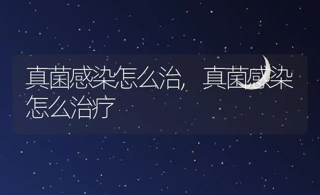 真菌感染怎么治,真菌感染怎么治疗 | 养殖资料