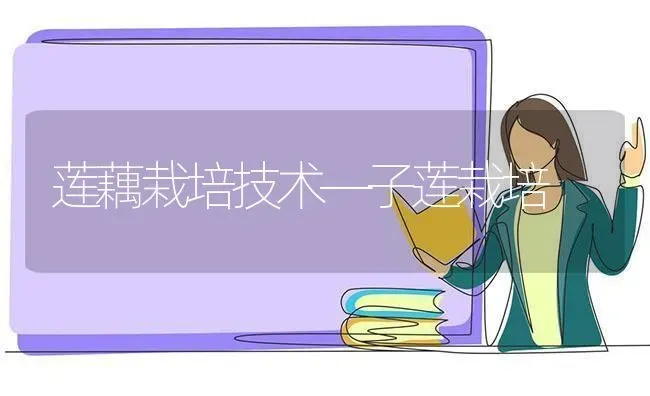 莲藕栽培技术―子莲栽培 | 养殖知识