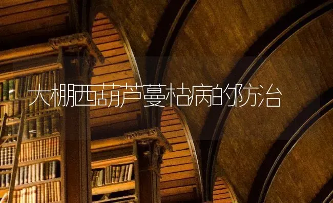 大棚西葫芦蔓枯病的防治 | 养殖知识