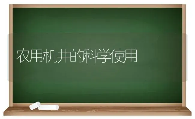 农用机井的科学使用 | 养殖技术大全