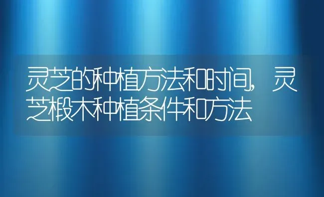 灵芝的种植方法和时间,灵芝椴木种植条件和方法 | 养殖学堂