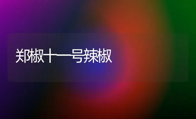 郑椒十一号辣椒 | 养殖知识