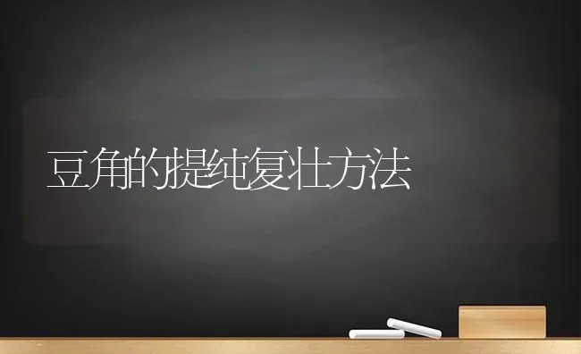 豆角的提纯复壮方法 | 养殖知识