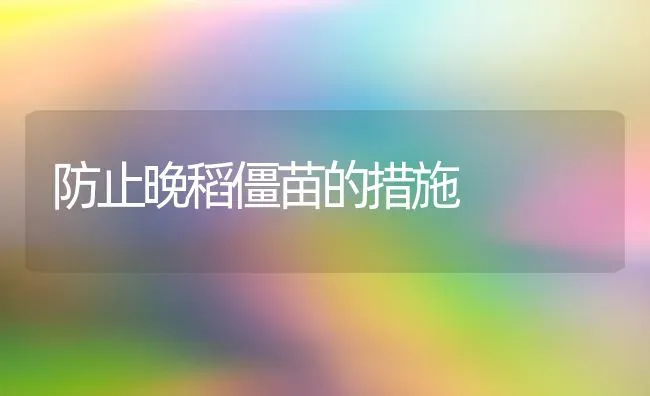 防止晚稻僵苗的措施 | 养殖知识