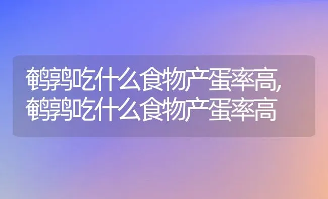 鹌鹑吃什么食物产蛋率高,鹌鹑吃什么食物产蛋率高 | 养殖科普