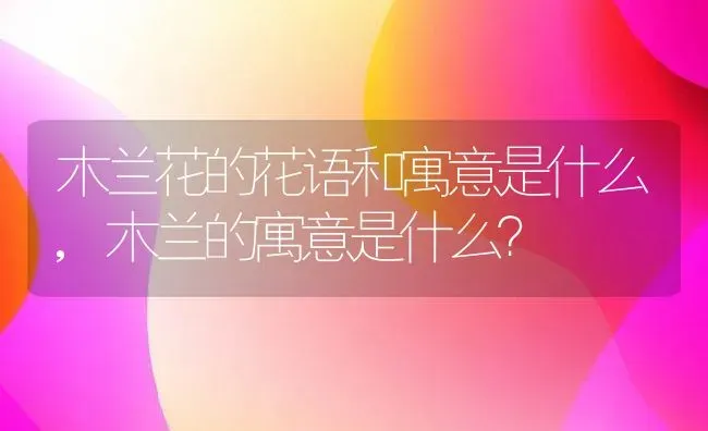 木兰花的花语和寓意是什么,木兰的寓意是什么？ | 养殖学堂