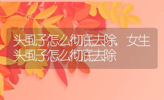 头虱子怎么彻底去除,女生头虱子怎么彻底去除 | 养殖科普