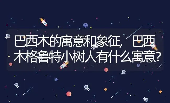 巴西木的寓意和象征,巴西木格鲁特小树人有什么寓意？ | 养殖科普