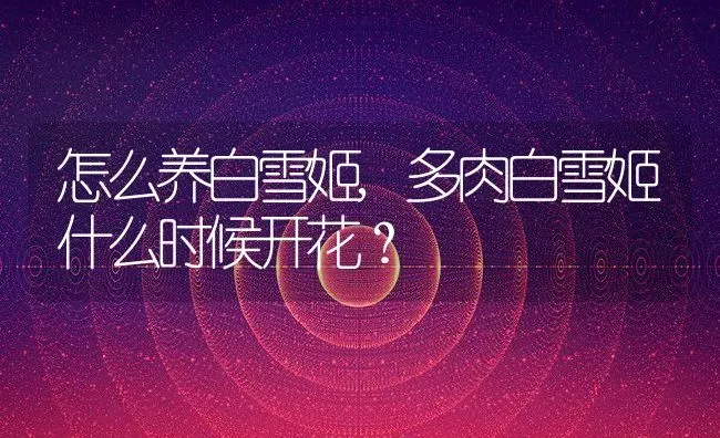 怎么养白雪姬,多肉白雪姬什么时候开花？ | 养殖科普