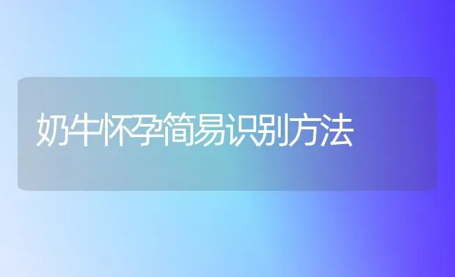 奶牛怀孕简易识别方法 | 养殖技术大全