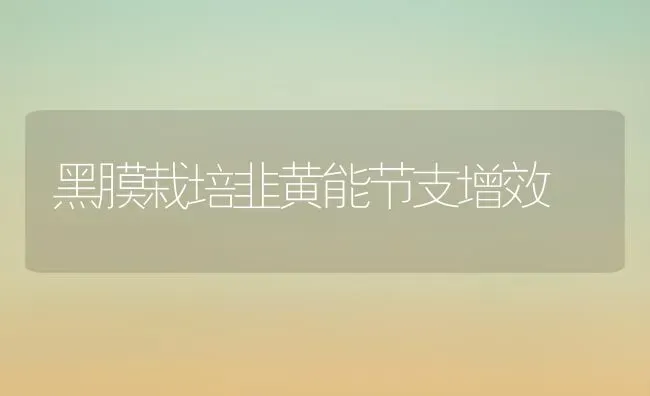 黑膜栽培韭黄能节支增效 | 养殖技术大全