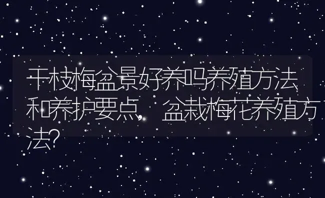 干枝梅盆景好养吗养殖方法和养护要点,盆栽梅花养殖方法？ | 养殖科普