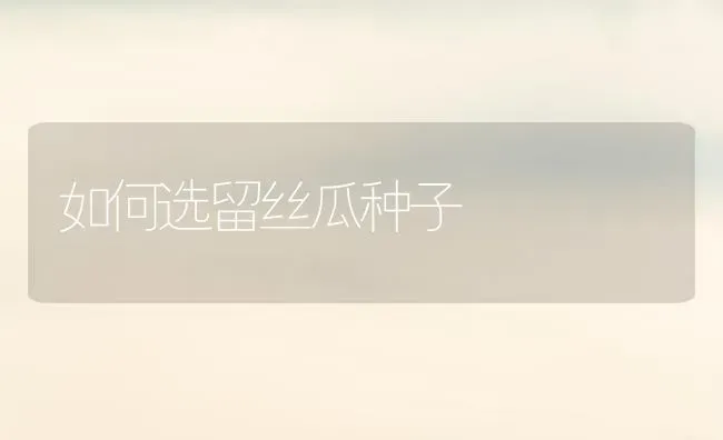 如何选留丝瓜种子 | 养殖技术大全