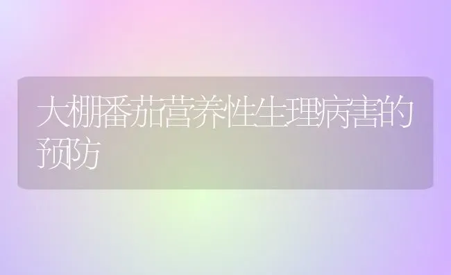 大棚番茄营养性生理病害的预防 | 养殖知识