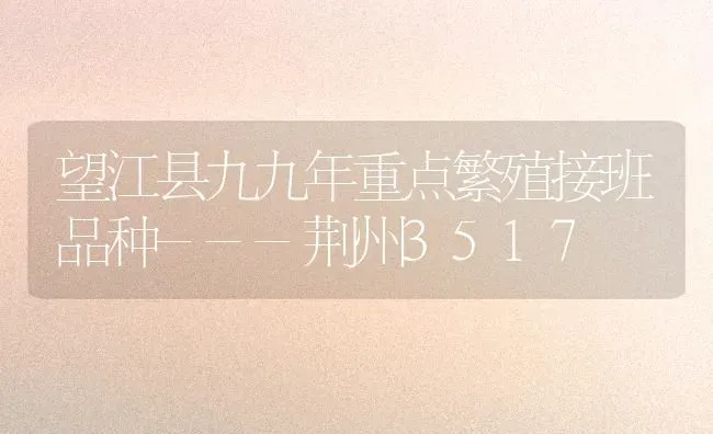 望江县九九年重点繁殖接班品种---荆州3517 | 养殖技术大全