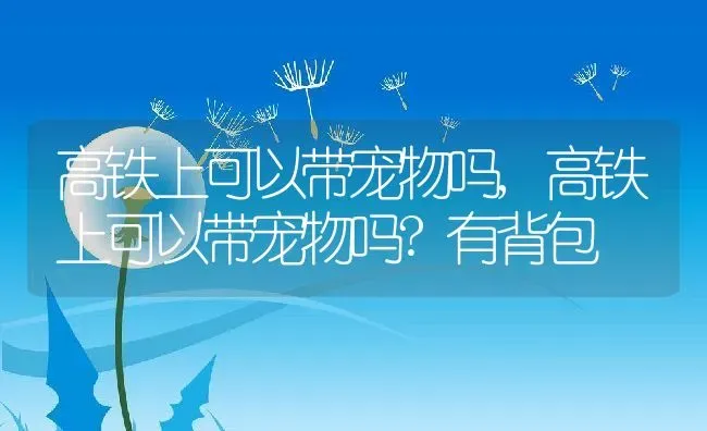 高铁上可以带宠物吗,高铁上可以带宠物吗?有背包 | 养殖科普