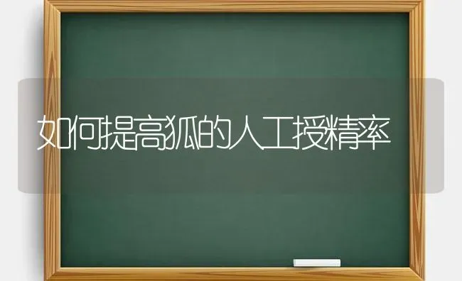 如何提高狐的人工授精率 | 养殖知识