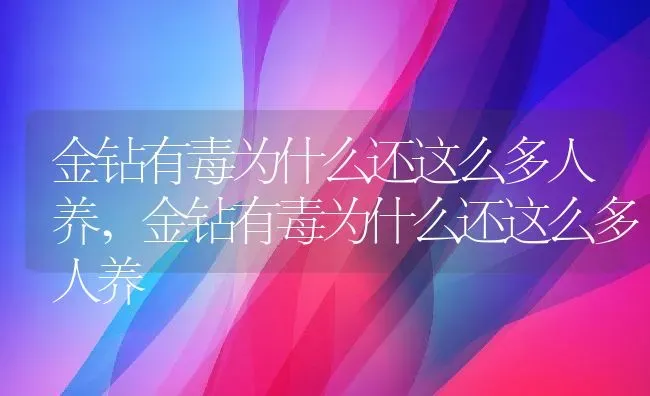 金钻有毒为什么还这么多人养,金钻有毒为什么还这么多人养 | 养殖科普