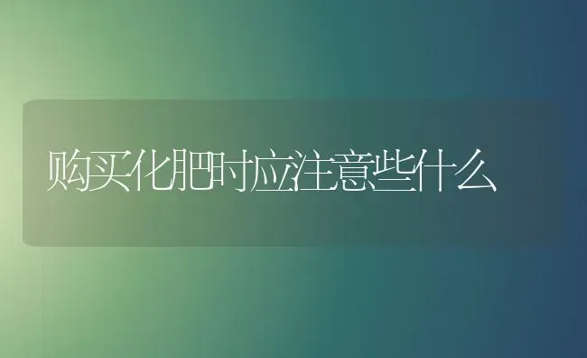 购买化肥时应注意些什么 | 养殖技术大全