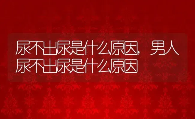 尿不出尿是什么原因,男人尿不出尿是什么原因 | 养殖科普