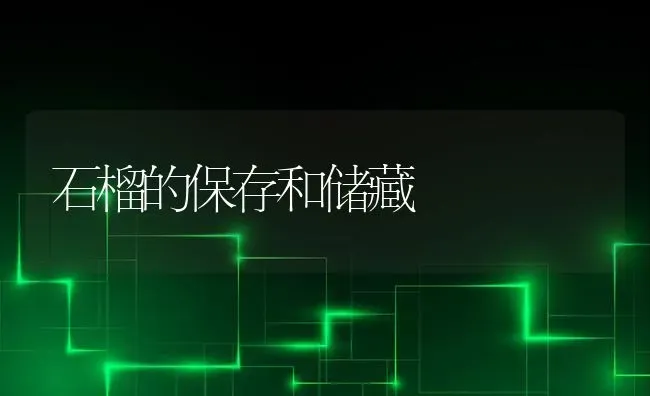 石榴的保存和储藏 | 养殖技术大全