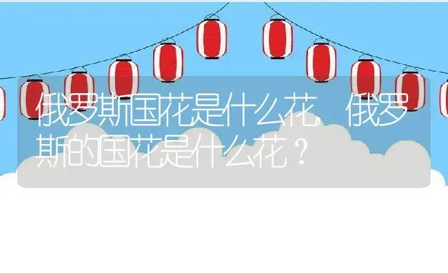 俄罗斯国花是什么花,俄罗斯的国花是什么花？ | 养殖科普