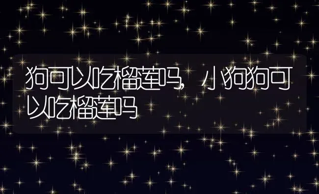 狗可以吃榴莲吗,小狗狗可以吃榴莲吗 | 养殖资料