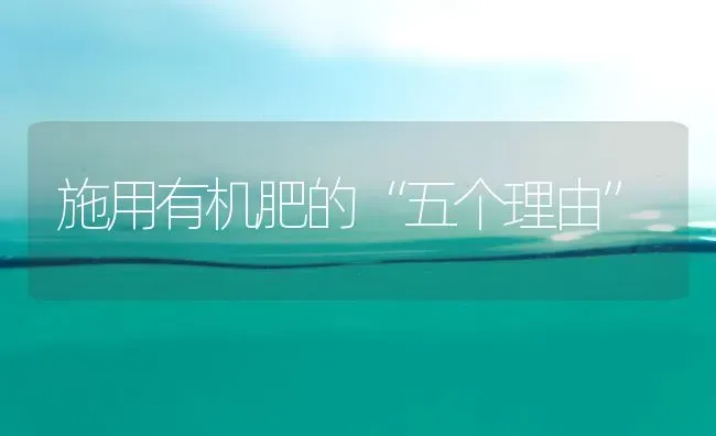施用有机肥的“五个理由” | 养殖技术大全