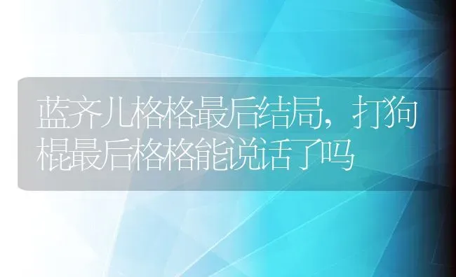 蓝齐儿格格最后结局,打狗棍最后格格能说话了吗 | 养殖学堂