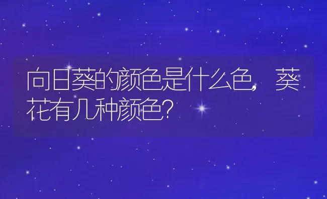 向日葵的颜色是什么色,葵花有几种颜色？ | 养殖科普