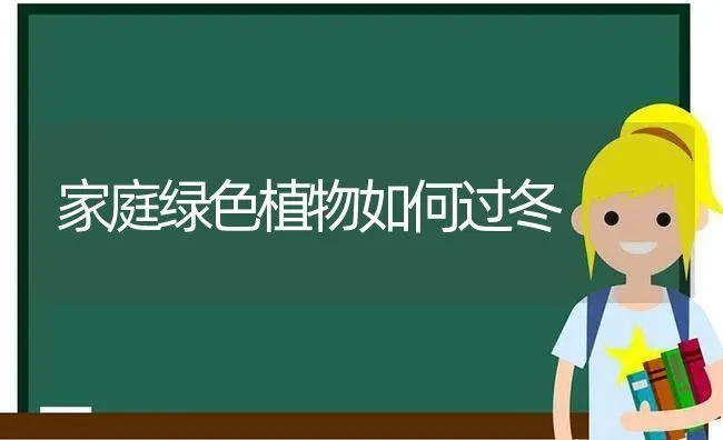 家庭绿色植物如何过冬 | 养殖知识