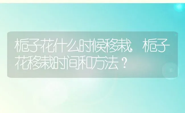 栀子花什么时候移栽,栀子花移栽时间和方法？ | 养殖学堂