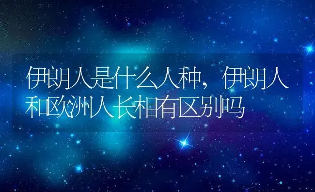 伊朗人是什么人种,伊朗人和欧洲人长相有区别吗 | 养殖学堂