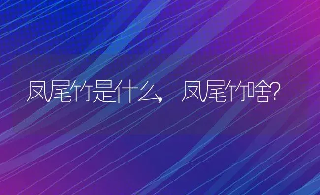 凤尾竹是什么,凤尾竹啥？ | 养殖学堂
