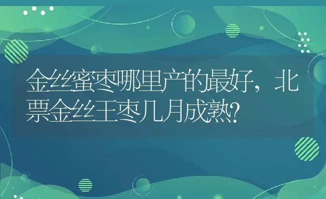 金丝蜜枣哪里产的最好,北票金丝王枣几月成熟？ | 养殖科普