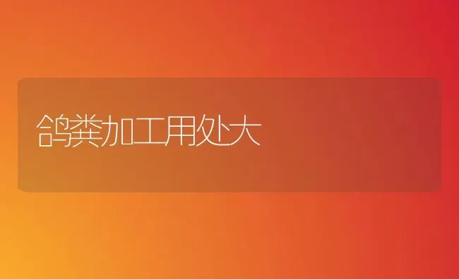 鸽粪加工用处大 | 养殖技术大全