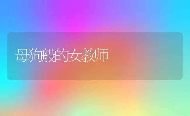 母狗般的女教师 | 养殖科普