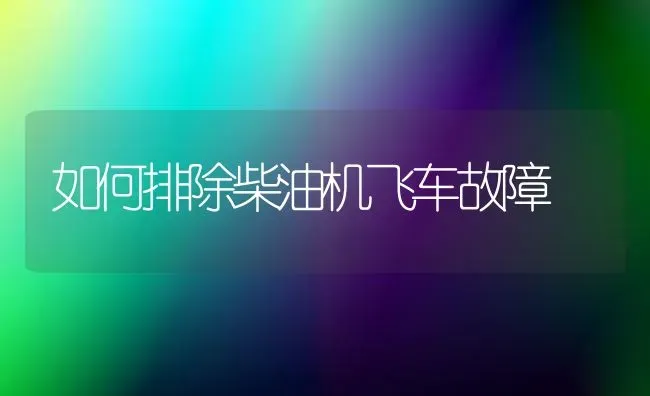 如何排除柴油机飞车故障 | 养殖知识