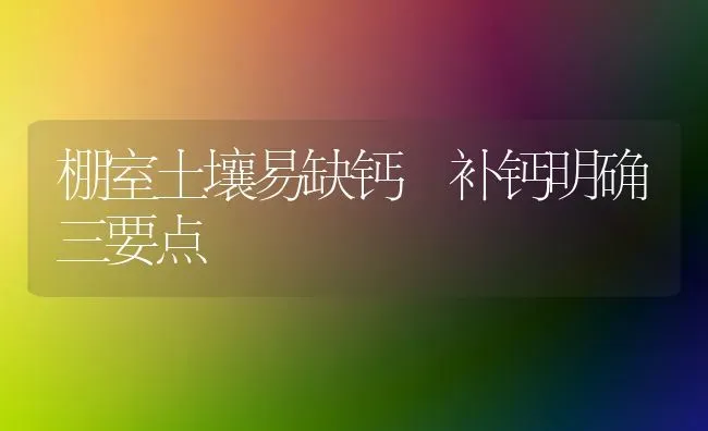 棚室土壤易缺钙 补钙明确三要点 | 养殖技术大全