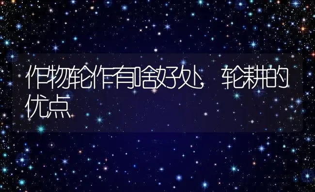 作物轮作有啥好处,轮耕的优点 | 养殖学堂
