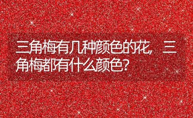 三角梅有几种颜色的花,三角梅都有什么颜色？ | 养殖科普