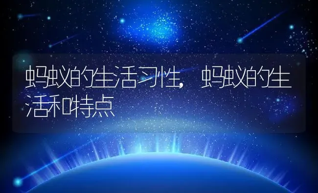 蚂蚁的生活习性,蚂蚁的生活和特点 | 养殖科普