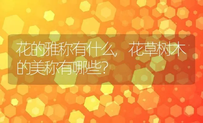 花的雅称有什么,花草树木的美称有哪些？ | 养殖学堂