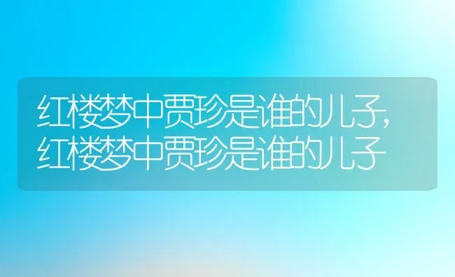 红楼梦中贾珍是谁的儿子,红楼梦中贾珍是谁的儿子 | 养殖科普